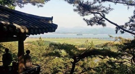 [전남 강진 정약용 남도 유배길]아는가? 다산이 모든 길의 뿌리가 된다는 것을…