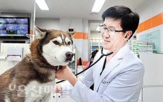 [전국 최초 반려동물 문화센터 건립 제안한 울산시수의사회 이승진 회장]사람-동물 공존하는 사회… 올바른 반려동물 문화 정착되길