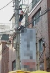서울 강남서 까치 구해주려 전봇대 올라간 30대 구조