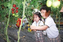 농어촌체험마을서 만드는 특별한 추억