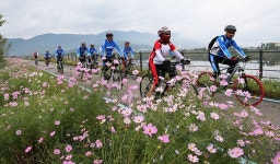 코스모스 만발한 섬진강변 따라 자전거 라이딩