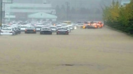 현대차, 침수차량 1천대 전량 폐기