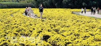 국향에 취한 태화강대공원