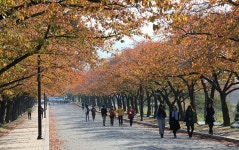 가을 경주로 오세요