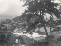 [그시절] 1950년 송도 솔밭공원