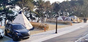 동구 대왕암 오토캠핑장, 예약 경쟁률 150대 1
