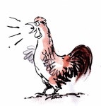 계명항공여행사주 | [반구대 칼럼] 계명(鷄鳴)