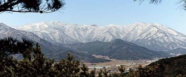 새롭고 신기하고 색다른 울산 만들어야 또 온다