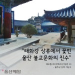 [울산매일 카드뉴스] "태화강 상류에서 꽃핀 울산 불교의 진수"