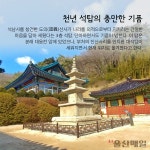 [울산매일 카드뉴스] "태화강 상류에서 꽃핀 울산 불교의 진수"