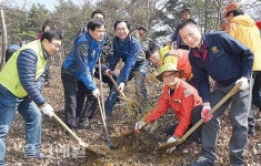 울산시 제72회 식목일기념 나무심기 행사