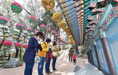 부처님 자비 세상 비추길