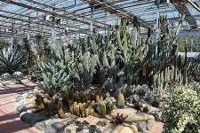 양산수질정화공원 선인장·다육식물 온실 개방