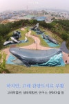 [울산매일 카드뉴스] 울산스러운 장생포 대박축제, 2017 울산고래축제 개막