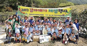 농소1동 주민자치위원회, 감자 캐기 체험행사