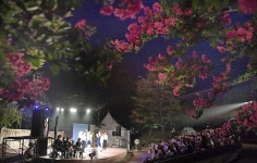 한여름 밤의 낭만