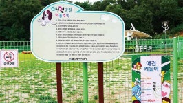 반려견과 함께 맘껏 공원산책 하세요