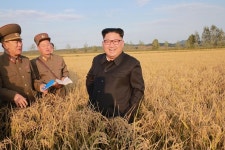 농장 현지지도하는 북한 김정은
