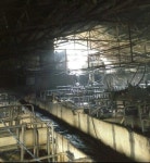 안성 돈사 화재로 돼지 550마리 소사