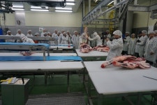 한우 가공 과정 둘러보는 홍콩 바이어들