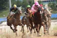 렛츠런파크 부경, 12월 경마 시행계획 발표
