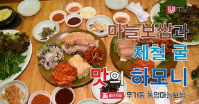 [영상뉴스] 마늘보쌈과 제철 굴 맛의 하모니