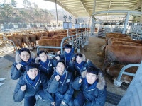 범농협 17개 법인 신규직원, 울산축협 가축시장서 농촌현장체험
