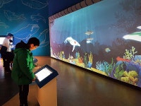 알찬 자료로 꾸며진 기획전시… 체험·볼거리 적어 아쉬워