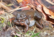 계곡에 찾아온 봄