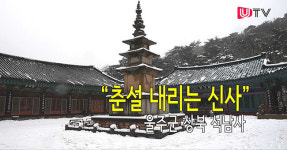 [영상스케치 in 울산] 춘설 내리는 신사 울주군 석남사