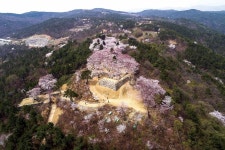 [드론으로 보는 울산의 문화재] (21)서생포왜성 (西生浦倭城) 임진왜란 때 왜장 가또 기요마사가 돌로 쌓은 왜성