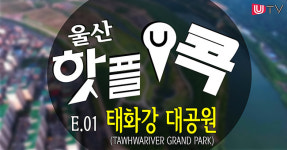[울산 핫플콕] 울산 여행 어디까지 가봤니? 태화강