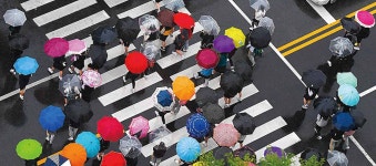 대지 적시는 봄비…횡단보도 건너는 알록달록 우산