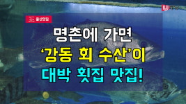 [울산맛집] 명촌에 가면 강동 회 수산이 대박 횟집 맛집!