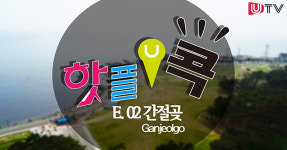 [울산 핫플콕] 울산 여행 어디까지 가봤니?간절곶