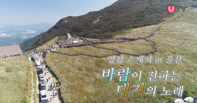 [영상스케치 in 울산] 바람이 전하는 노래