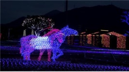 렛츠런파크 부경 일루미아 할로인 시즌 이벤트 시행