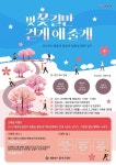 해운대구, 달맞이 벚꽃길 함께 걷기 행사 개최