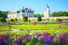 렌즈 속에 비친 대곡천 암각화군·세계문화유산 풍광