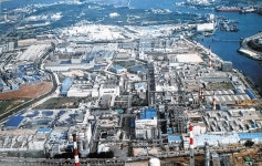 개구리섬·과수원에서 조개잡고 일손 돕던 기억 아련