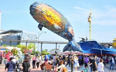 Foto aus Naver-Suchergebnissen 5