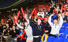 울산 곳곳에 울려 퍼진 대~한민국 뜨거웠던 응원의 밤