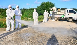 이선호 울주군수, 아프리카돼지열병 차단방역 활동