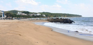 진하해수욕장 모래 유실 막으려 설치한 지오튜브 탓에 해수 공급 어려워