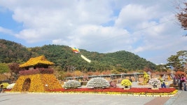 양산국화향연, 26일부터 11월10일까지 물금읍 워터파크 개최