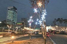 혁신도시에 빛을 밝히다 울산 중구, 혁신도시 빛거리 시범 조성 추진..오는 18일 점등식