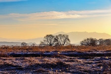 【렌즈속이야기】 우포소경