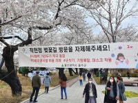 [현장취재] 거리두기 계도 요청에도 울산 벚꽃 명소 나들이객 발길 이어져