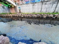 고향의 강 여천천 고질적 악취 대안 없나