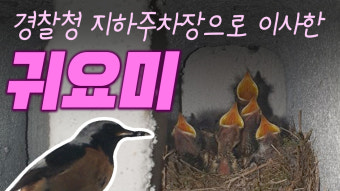 울산지방경찰청 지하주차장에 의문의 가족이 살고있다!